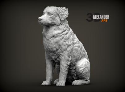 Australian shepherd sitting 3D printed model