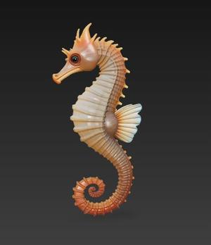 Seahorse
