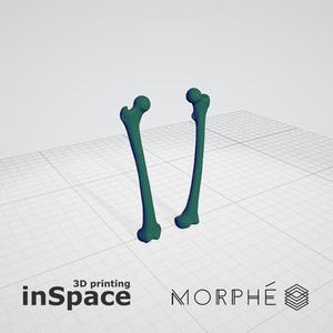 Medical - Femur (solid) - Real size