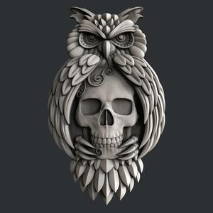 owl skull