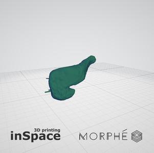 Medical - Pancreas (planes) - Real size