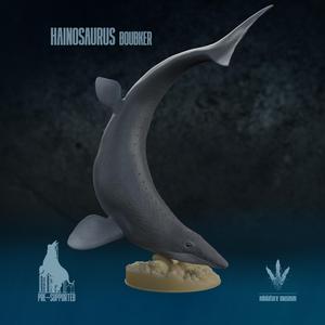 Hainosaurus boubker : Swimming
