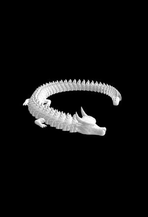 Flexible Dragon