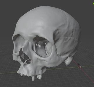 skull   