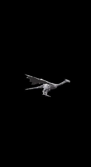 dragon 🐲 module
