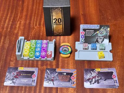 20 Strong Travel Insert & Organizer   