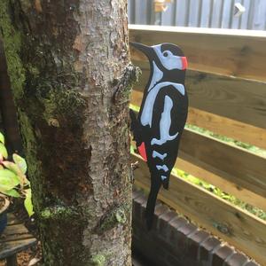 Woodpecker