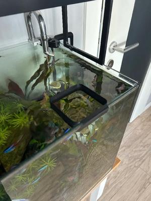 Feeder for feeding aquarium fish   