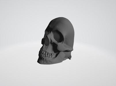Skulls for wall decoration