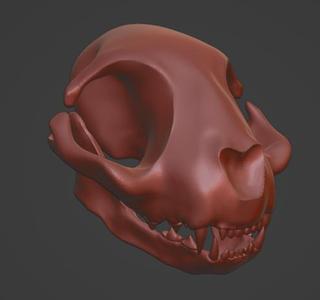 Feline Cat Skull