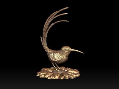 colibri humming bird