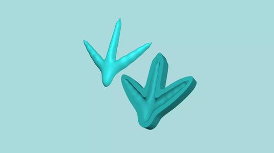 Chicken Footstep - Silicone Mold -Template