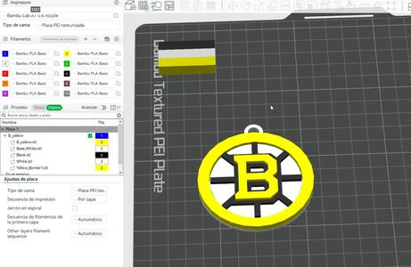 NHL boston bruins keychain shield  color printable