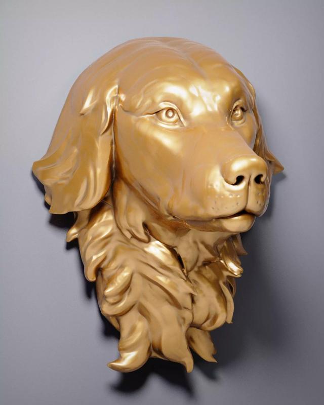 Golden Retriever Head