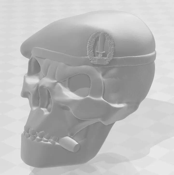 German Army Skulls with different Berets