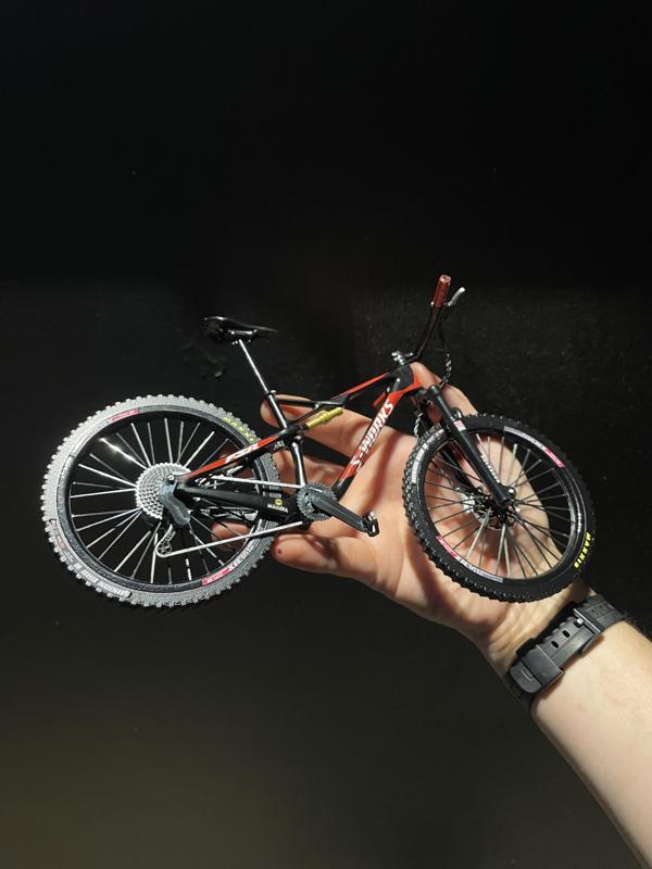 SPECIALIZED SWORKS EPIC CARBON MTB BIKE