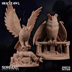 Oracle Owl