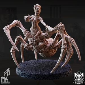 Drider - C