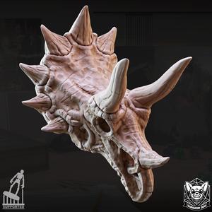 Triceratops Skull