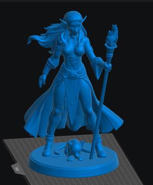 Elf Warlock Female 2
