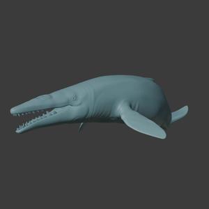1/60th scale Kekenodon Whale