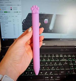 Apple Pencil Case with 3 Interchangeable Caps –3D Print STL