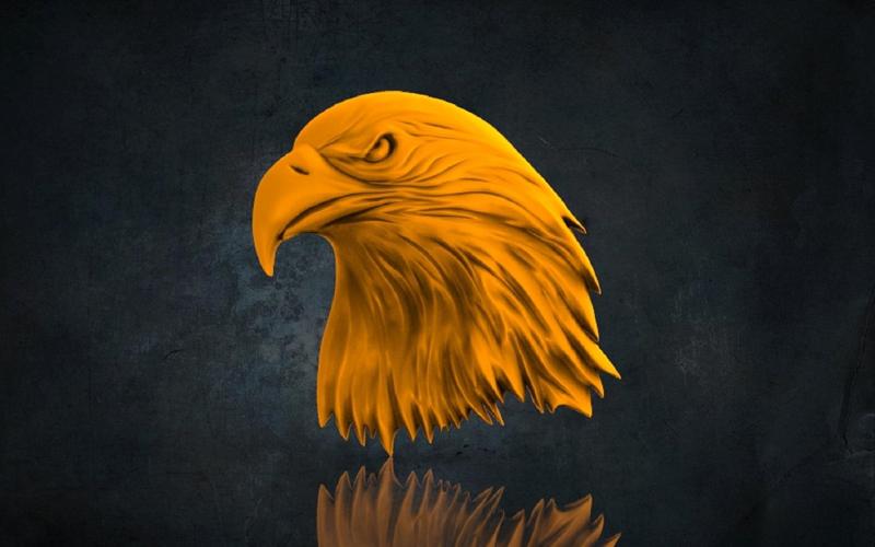 Eagle 3D STL Model for CNC Router, Artcam, Vetric, Engraver, Relief, Carving, Cut 3D, Stl File For Cnc Router, Wall Decor