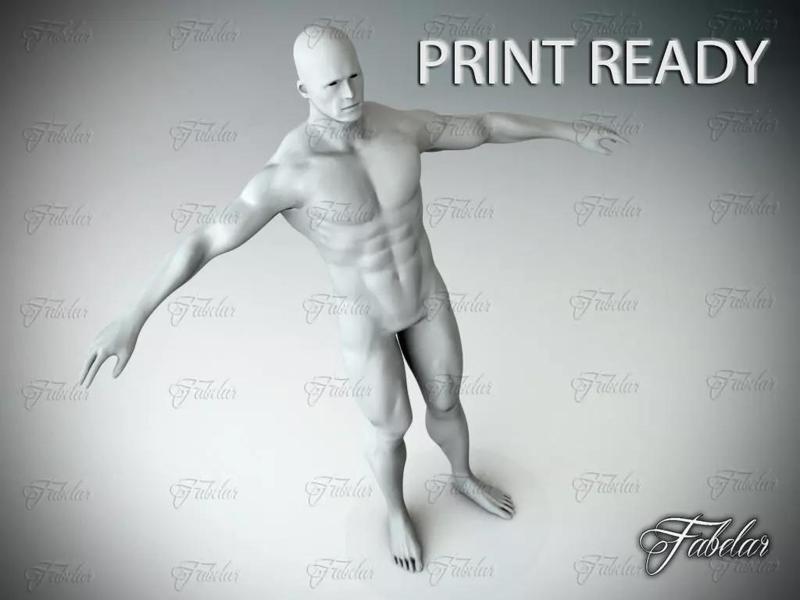 Male Body Printable