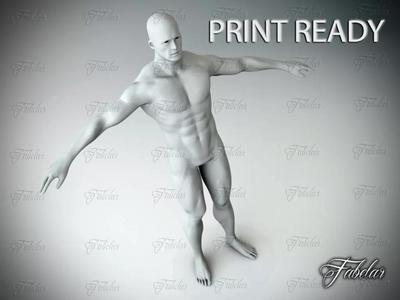 Male Body Printable