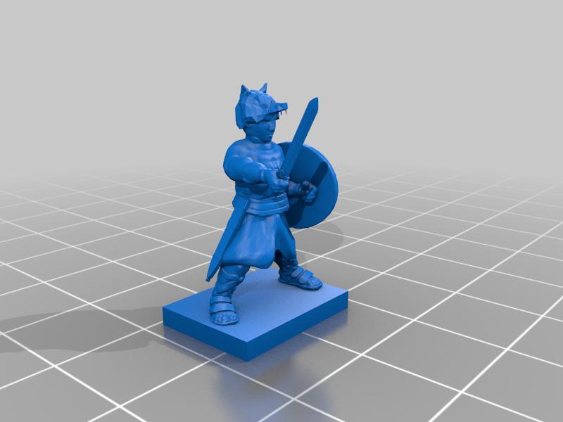 Punic Wars - Roman Velites