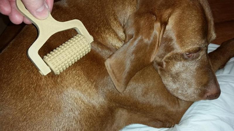 Handmassageroller, Hand massage scooter