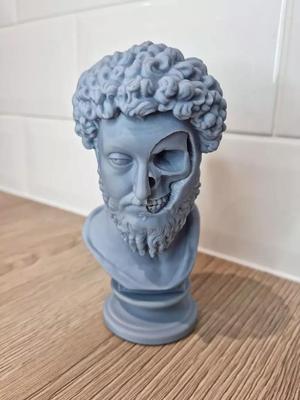 Marcus Aurelius Momento Mori Bust