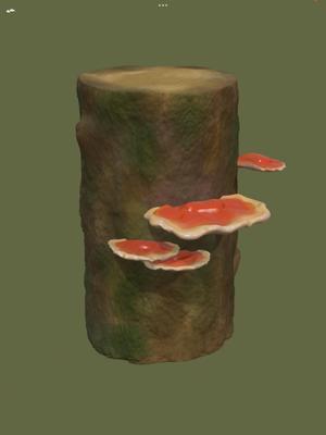 Ganoderma lucidum - Reishi (mushroom)