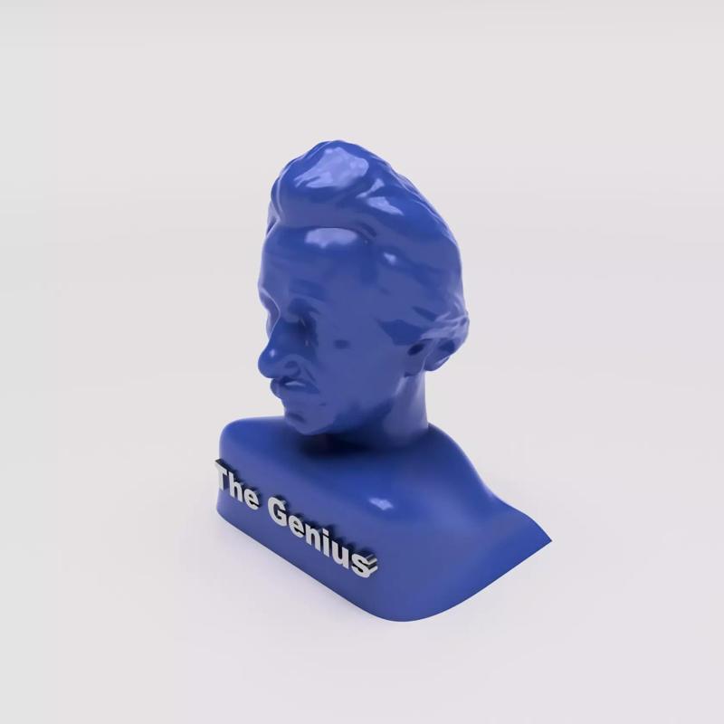 Albert Einstein The Genius