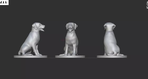 Dog solid model