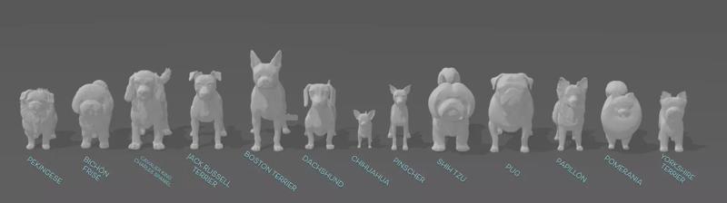 Miniatures - Small Dogs