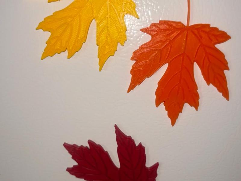Sugar Maple Leaf refrigerator magnet. 
