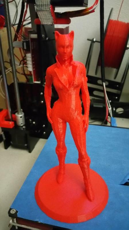 Catwoman figure (Batman Arkham City)