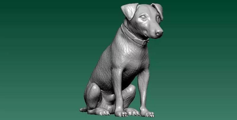 Dog wearing - 3D printed collar