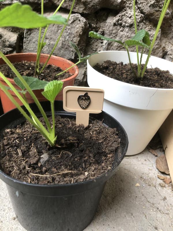 Gardening fruit label