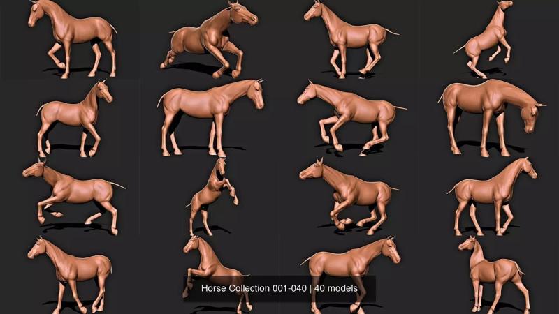 Horse Collection 001-040