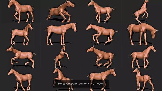 Horse Collection 001-040