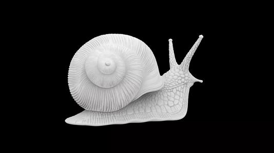 Snail 3D Model Printable Sculpture