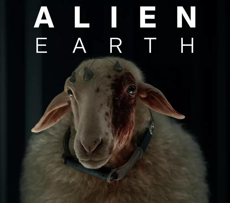 T Ocellus Alien Earth Sheep