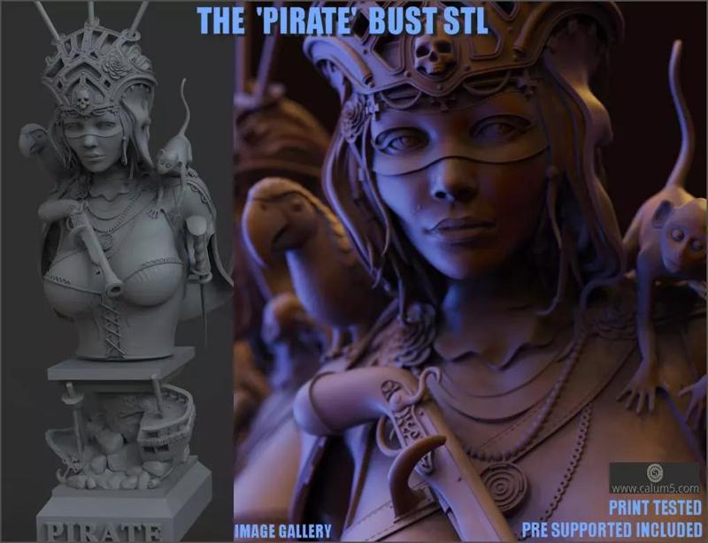 The Pirate bust