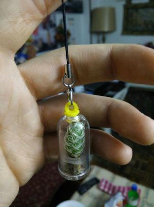 Cactus keychain holder
