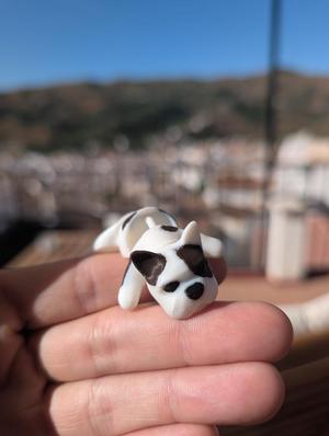 Articulate French bulldog