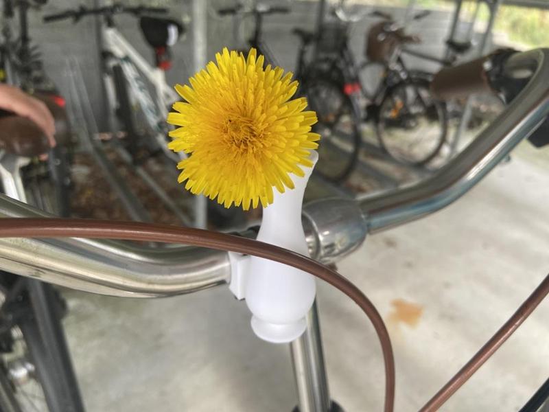 BikeVase