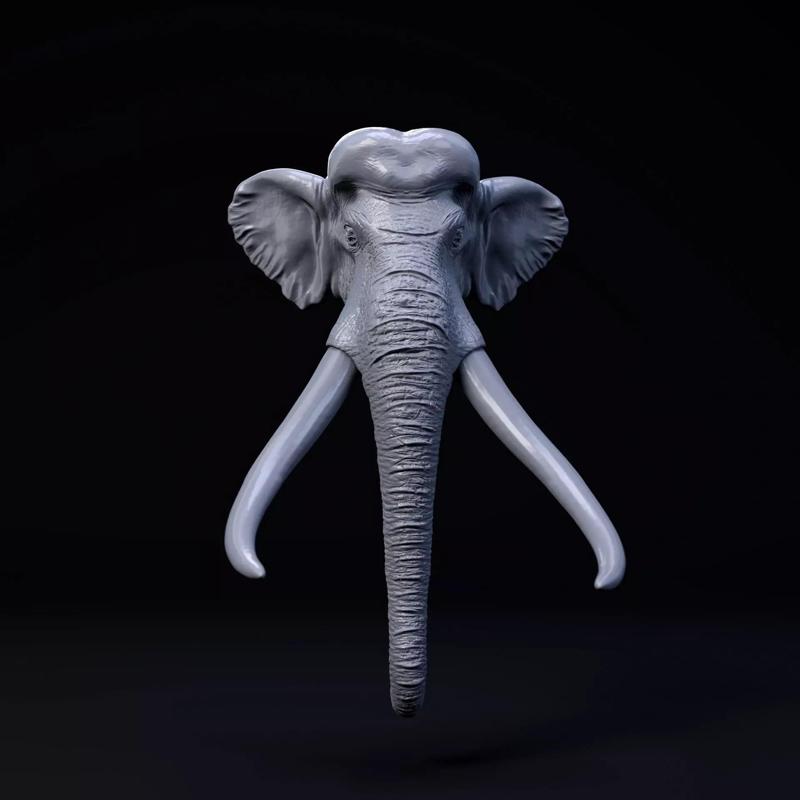 Palaeoloxodon mount-head