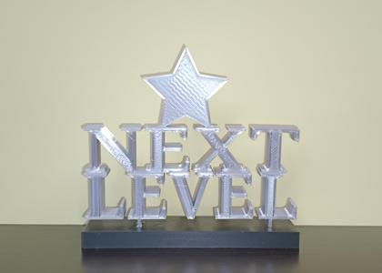 ESCULTURA - TROFEO PARA REGALAR